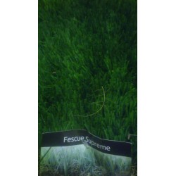 Artificial Turf - Fescue...