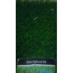 Artificial Turf - Vista...
